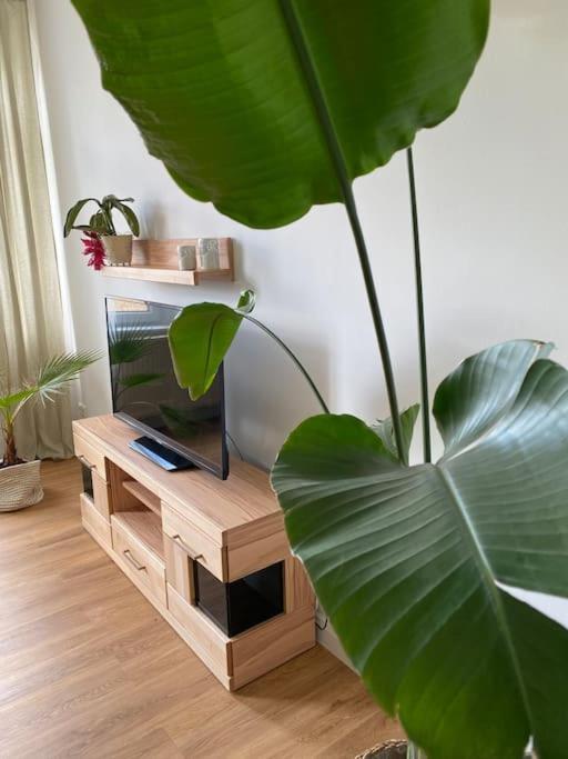 2-Zimmer Zentral In Ferdinandshof, Wlan Modern エクステリア 写真