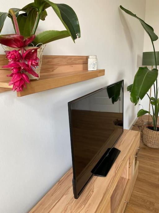 2-Zimmer Zentral In Ferdinandshof, Wlan Modern エクステリア 写真