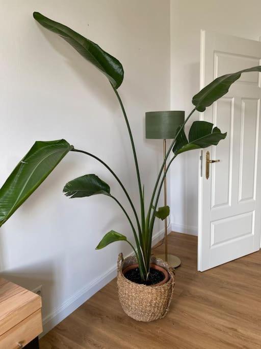 2-Zimmer Zentral In Ferdinandshof, Wlan Modern エクステリア 写真